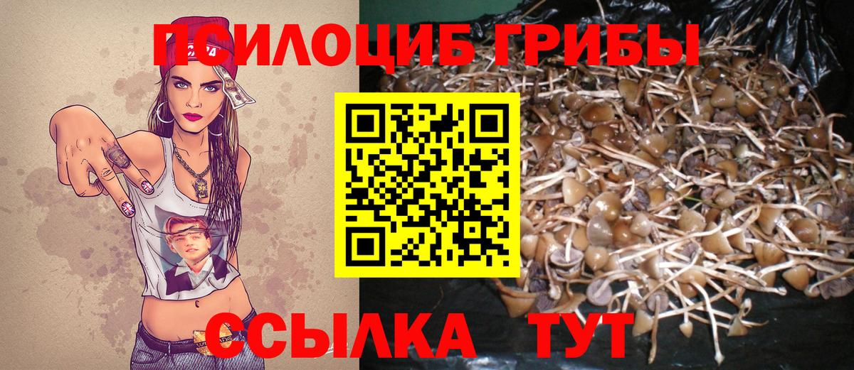 Кимовск  Галлюциногенные грибы Cubensis  Вход с VPN 